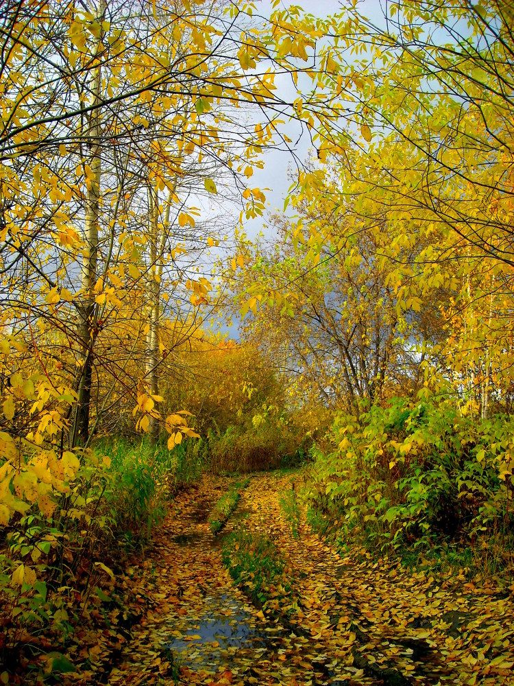 Уральская осень