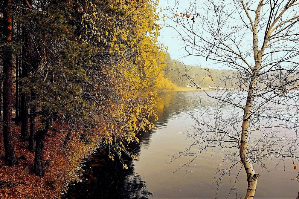 Боровое.  Осень