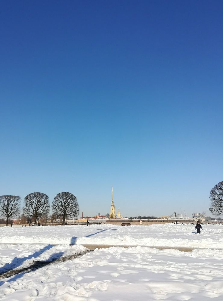 Зимним днём у Петропавловки.