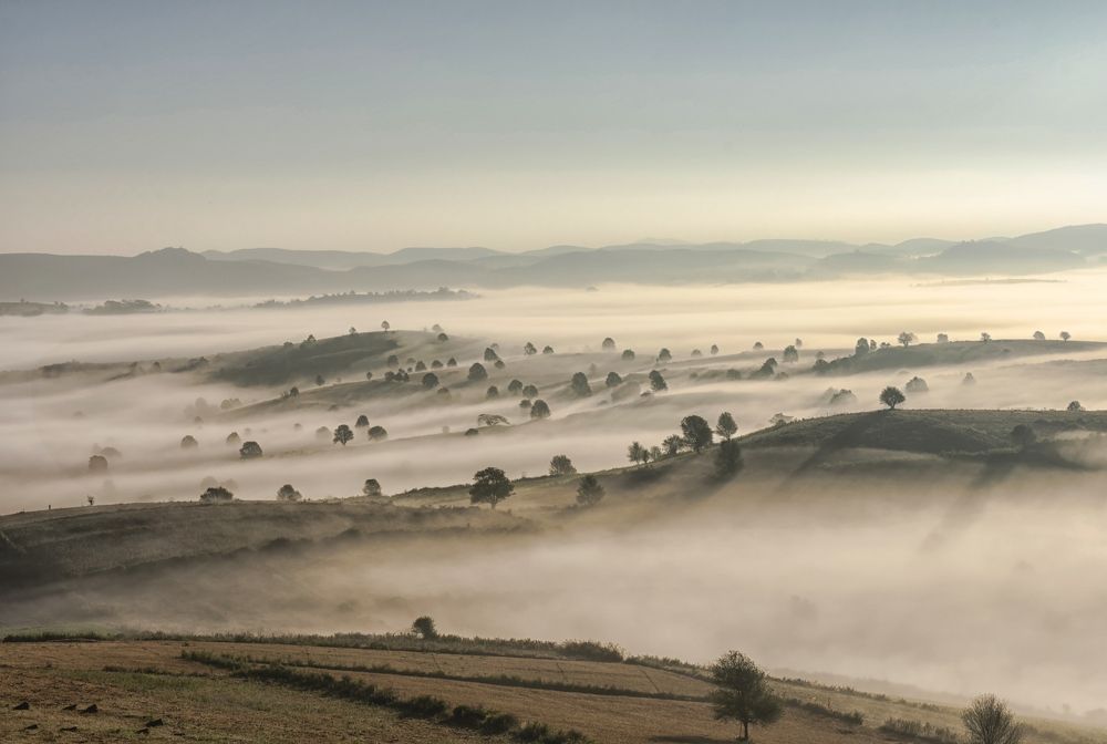 Misty and Missing ..