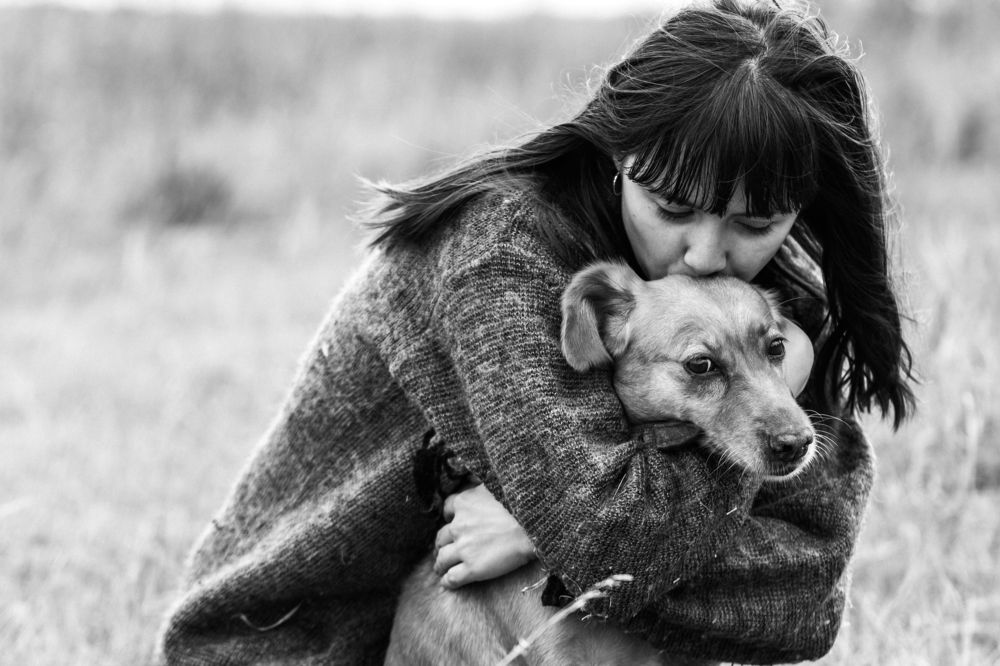 История любви, дружбы, преданности