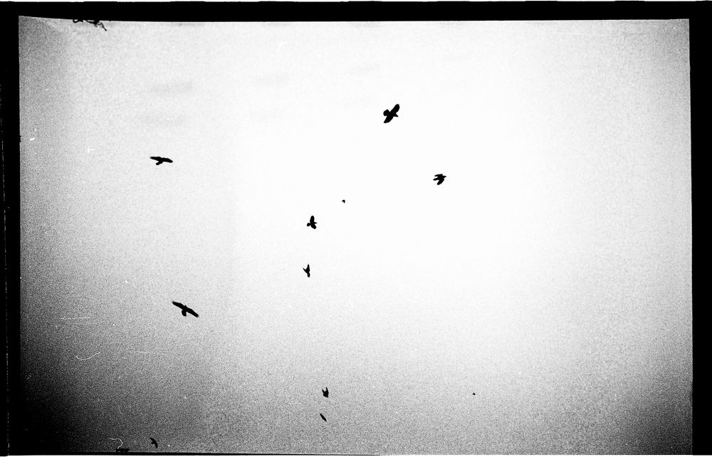 Photograph by Minik Bidstrup