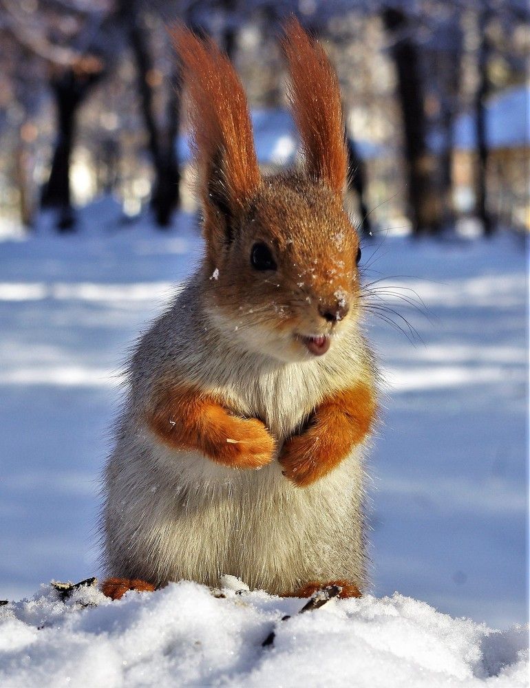 Портрет в полный рост