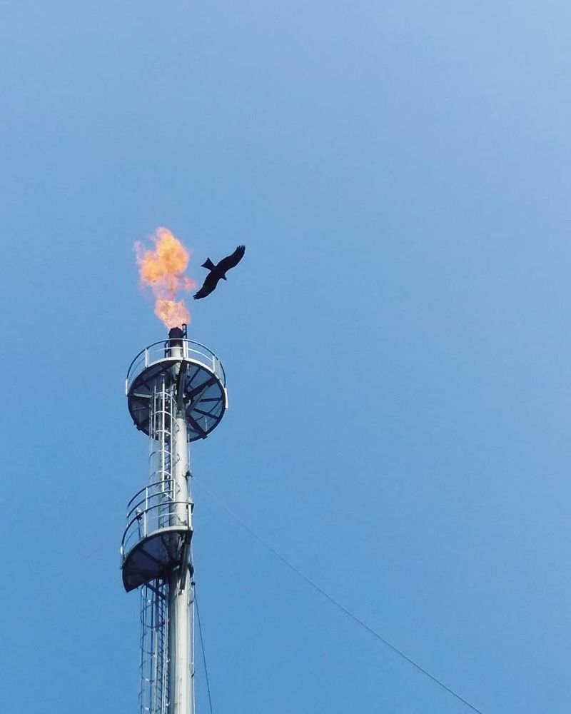 Burning down the sky