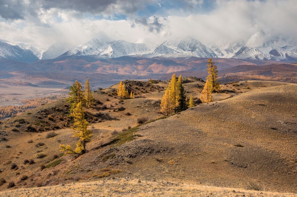 Курай. Осень.