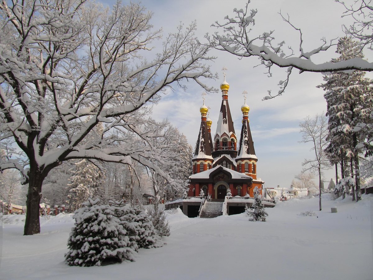 Зимние зарисовки