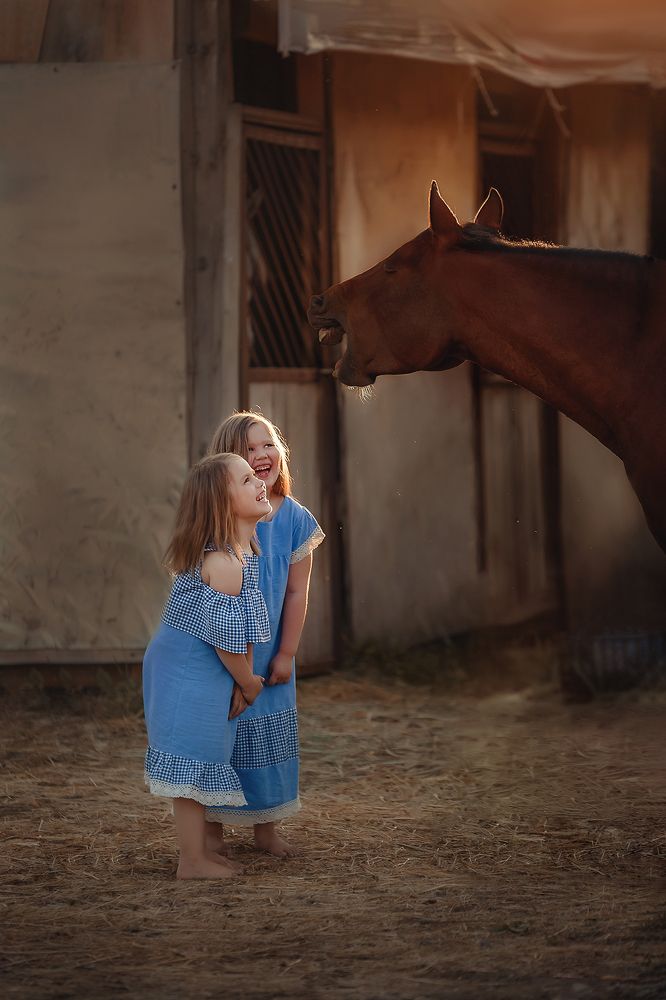 Большое хозяйство