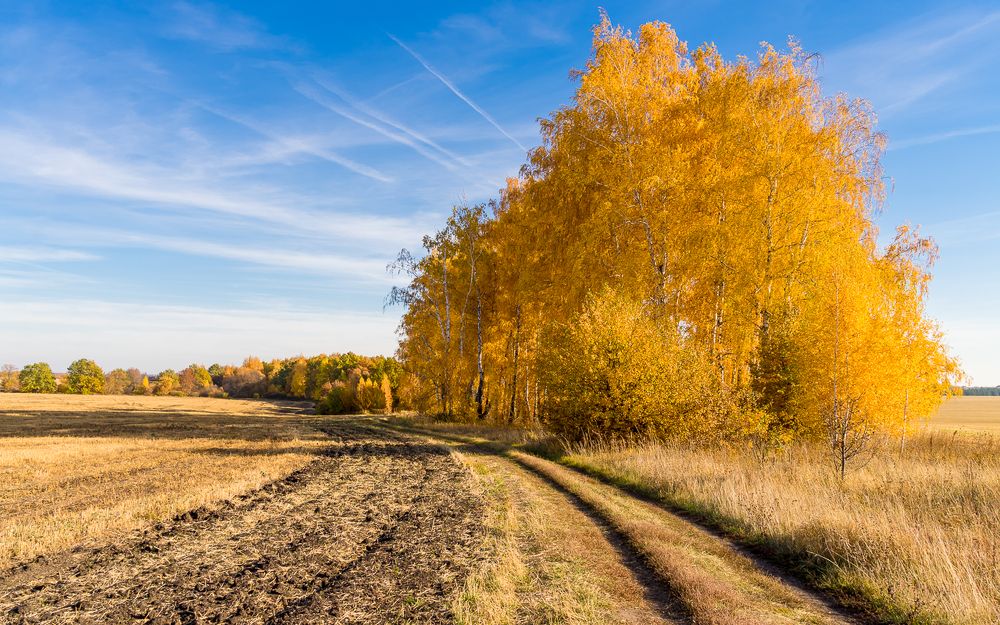 Золотая осень.