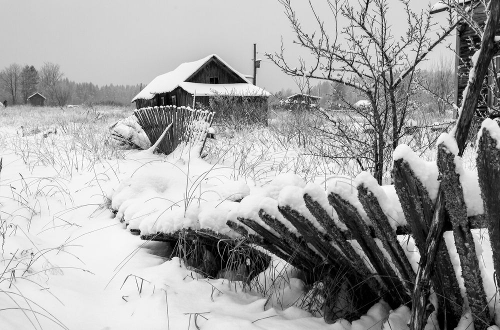 "ЛЕНТА ВРЕМЕНИ"