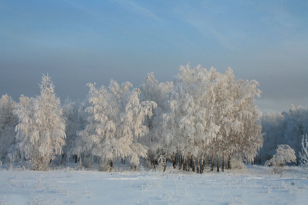Красавица-Зима