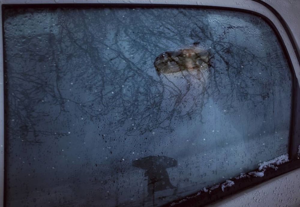 Stepping  into a wonderland