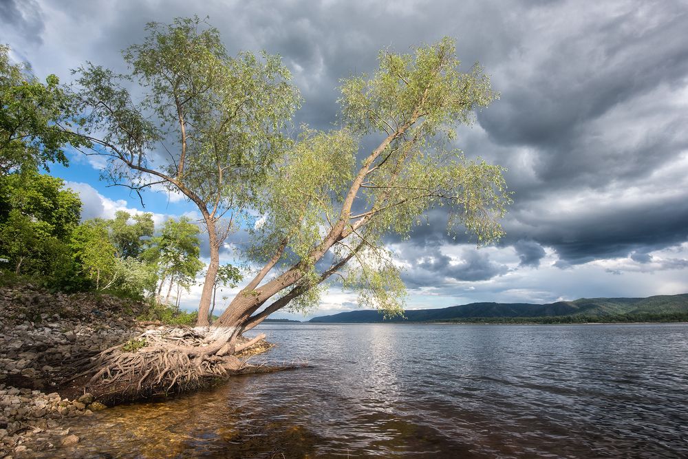 Фотография автора Сергей Сынтин