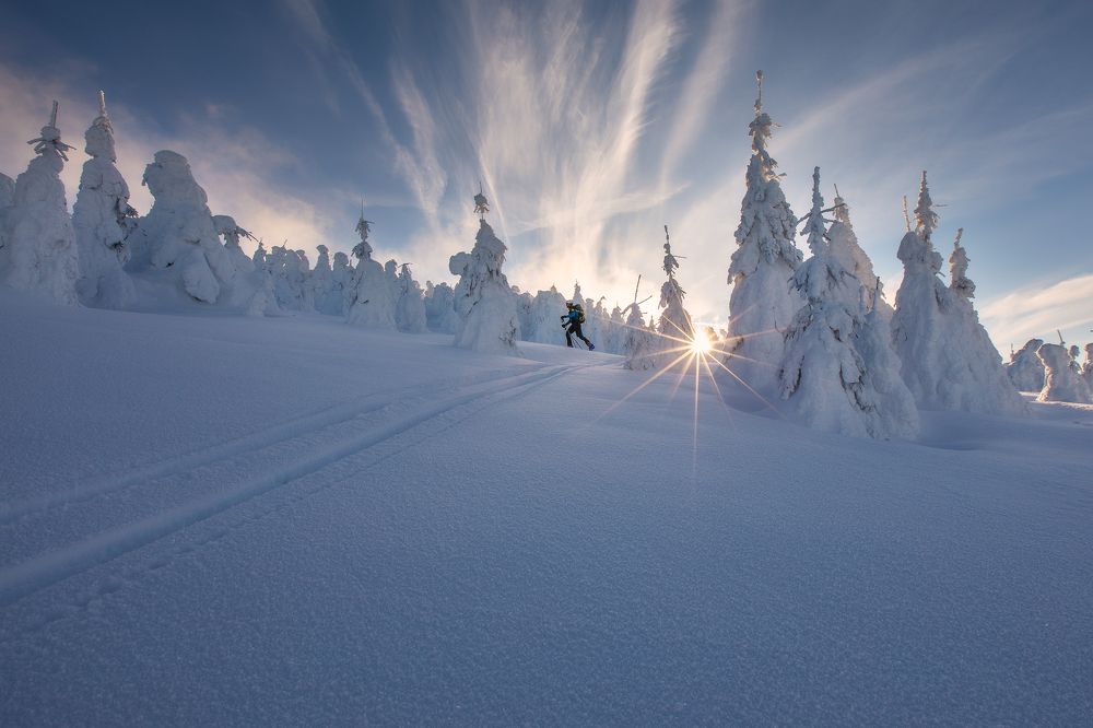 In the footsteps of the ski