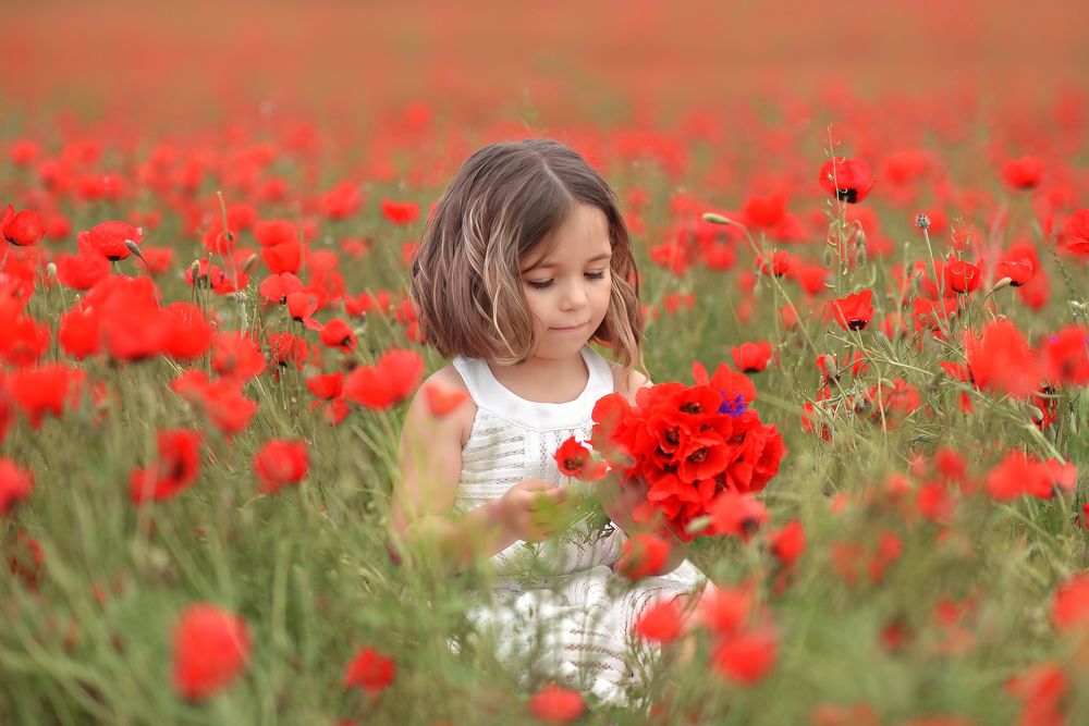 Красные маки