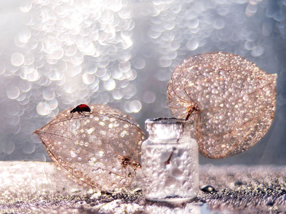 Серебряный закат