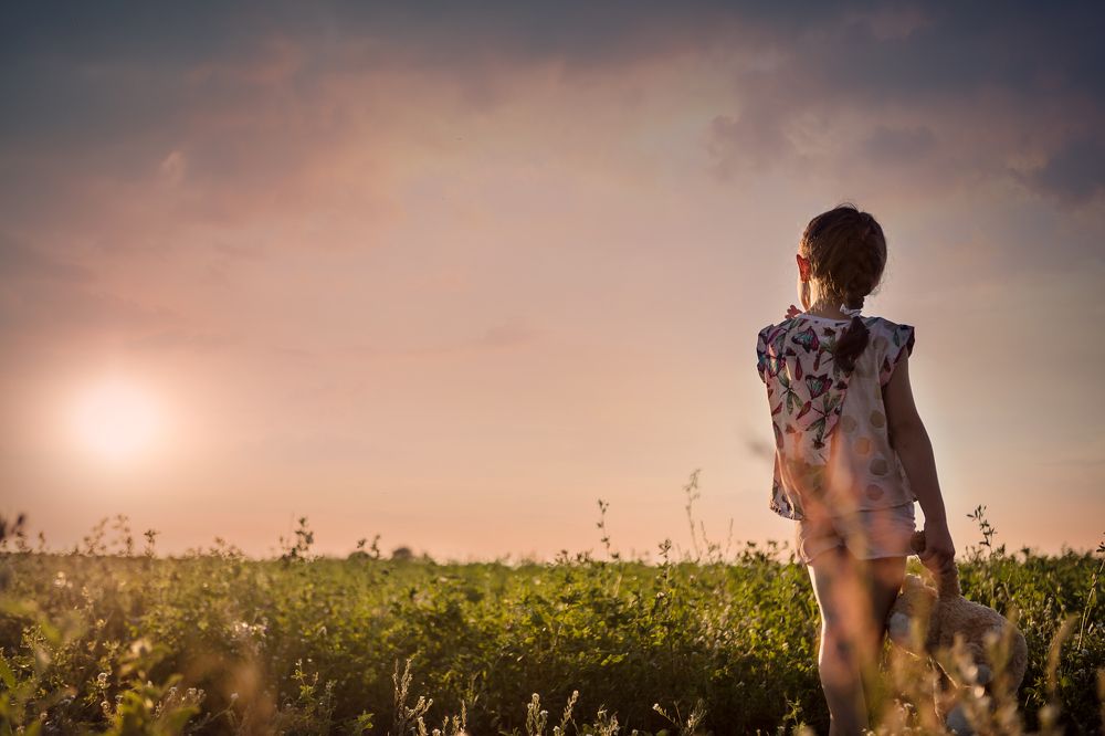 Sunset in the field