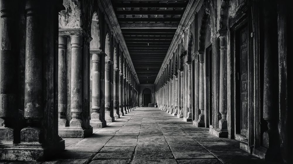 An array of stanchions.