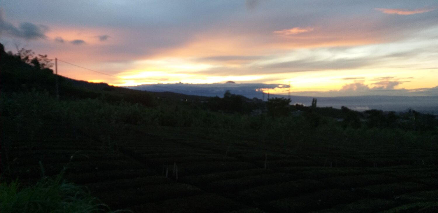 Sunrise