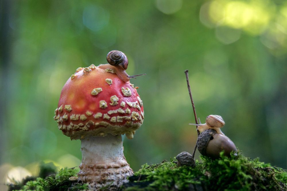 Мир прекрасен