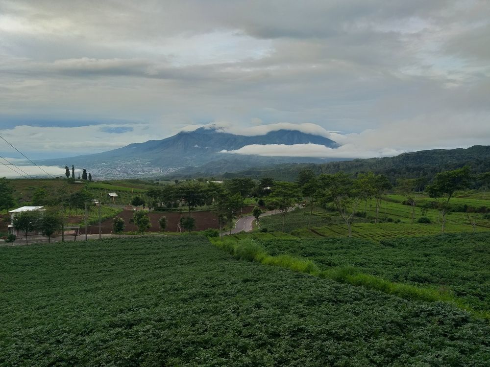 Morning with the fresh air