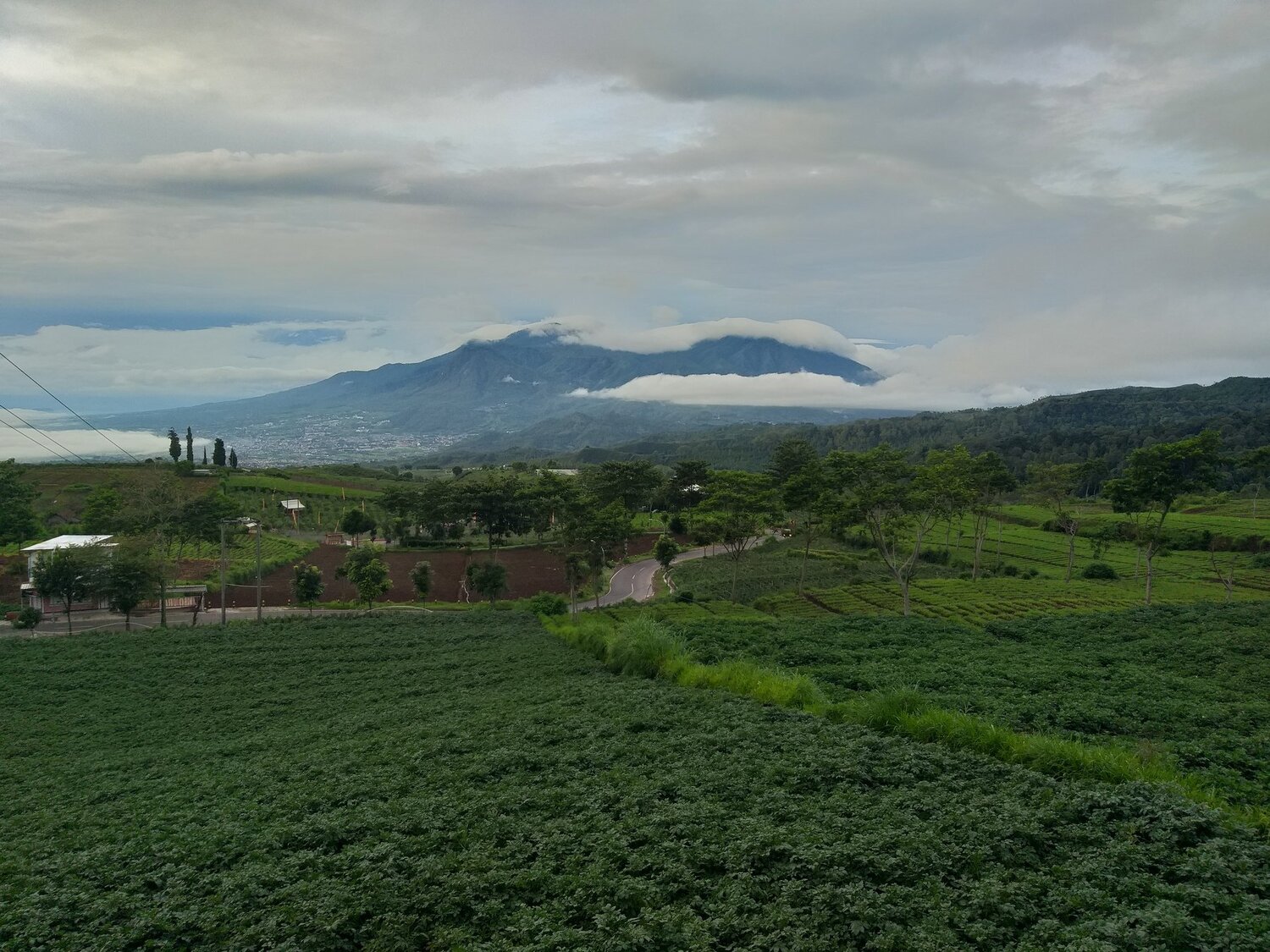 Morning with the fresh air