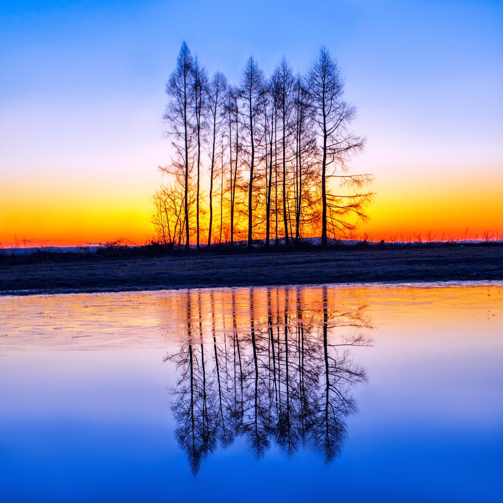 Доброе утро