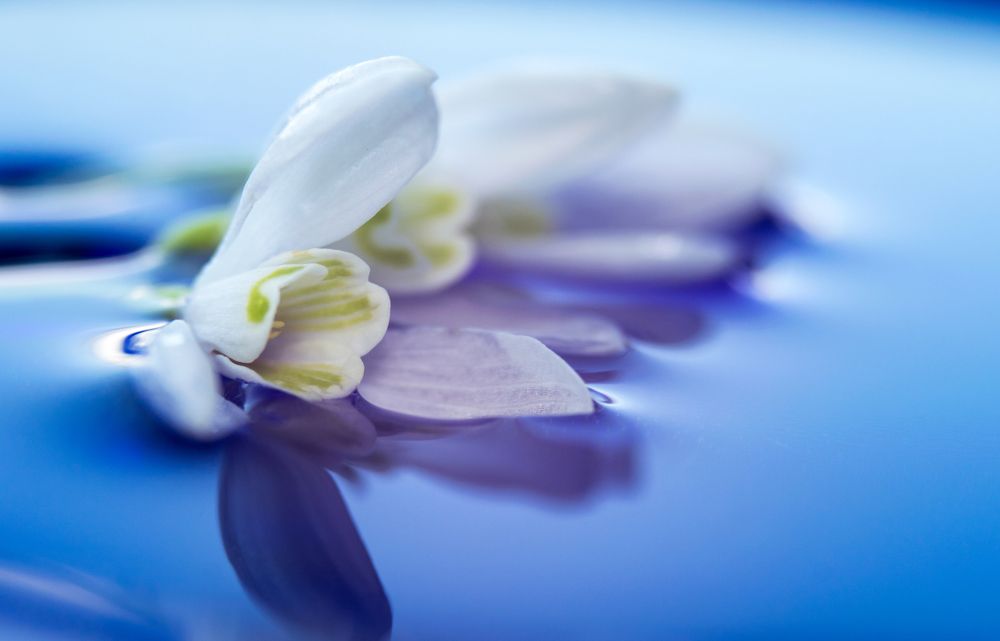 Первая весна