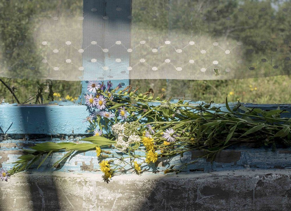 Букет полевых цветов.