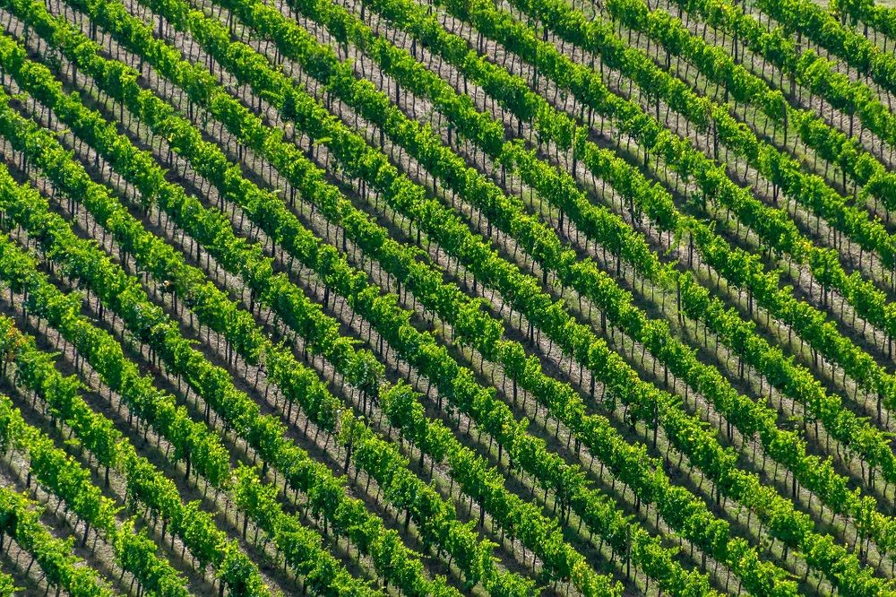 Фотография автора Андрей Симонов