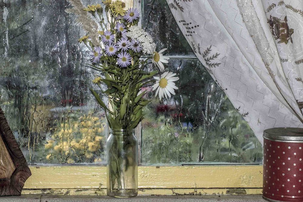 Полевые цветы в банке.