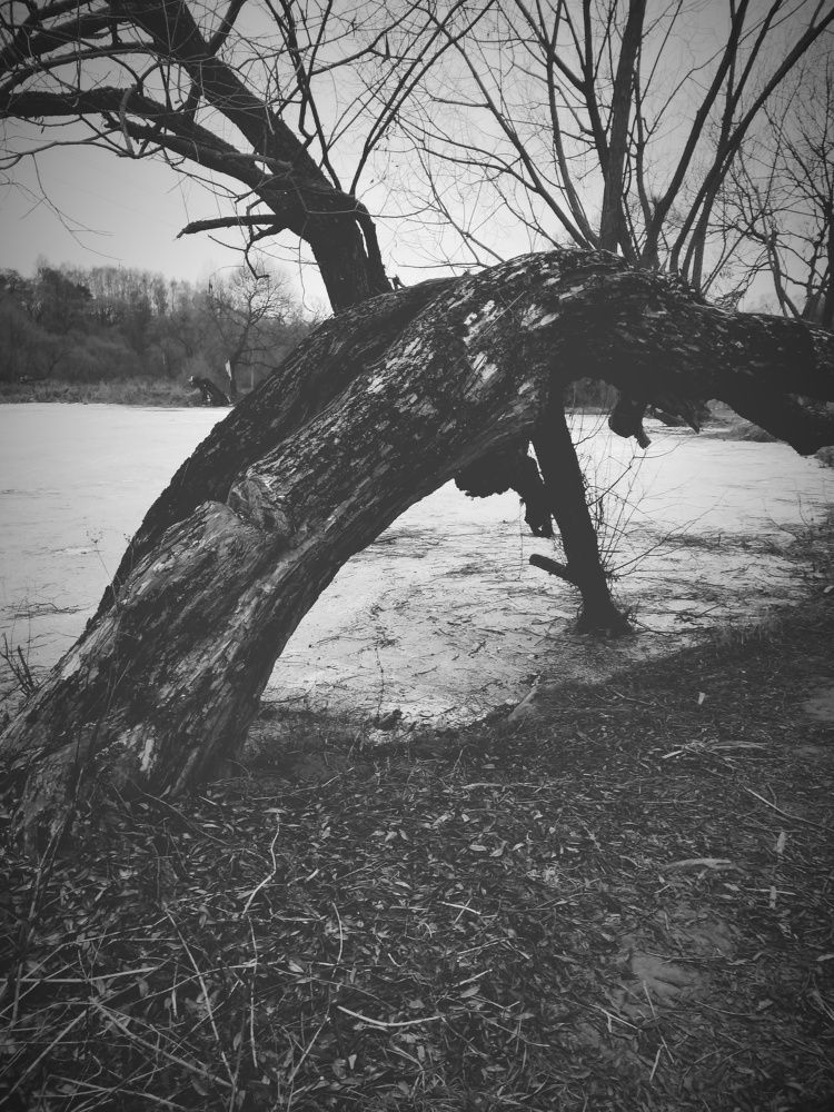 В гостях у сказки