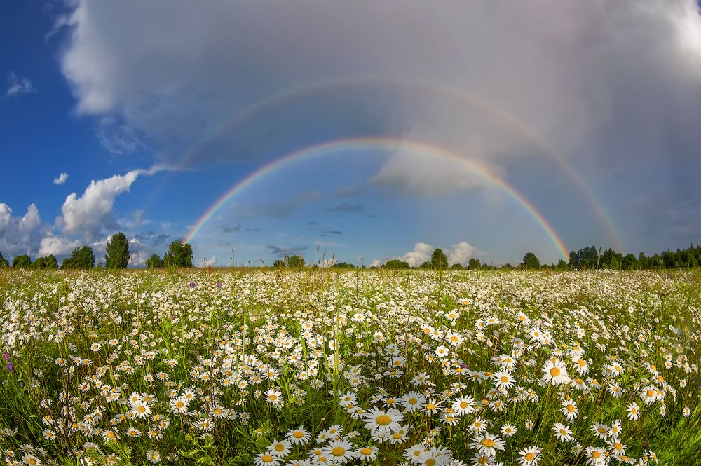 про радугу и ромашковую Русь