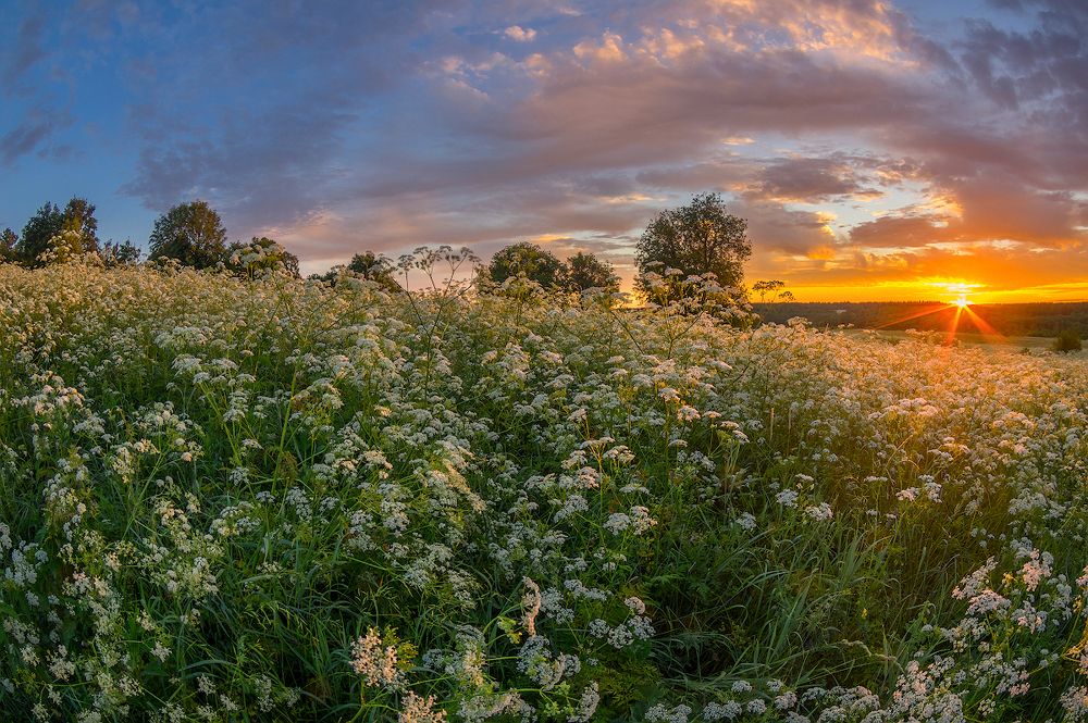 феерия рассвета