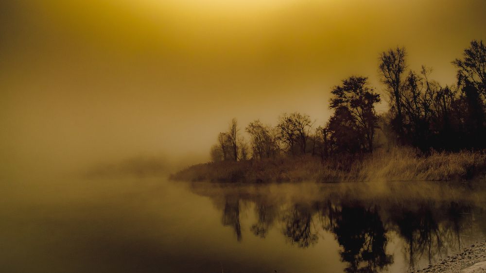 Photograph by Анатолий Коряк