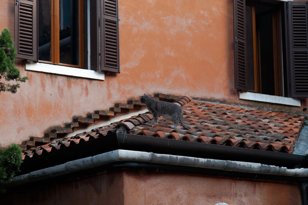 Возвращение