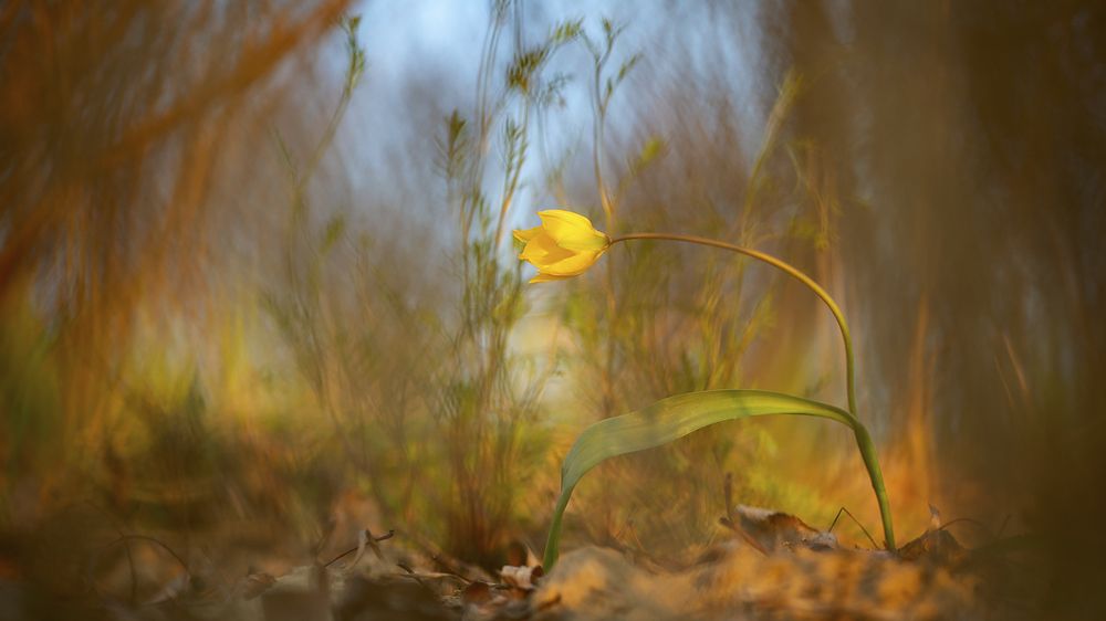 Photograph by Александр Иванов