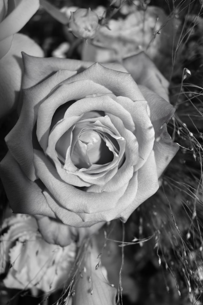 Photograph by Cristi Ghiarfas