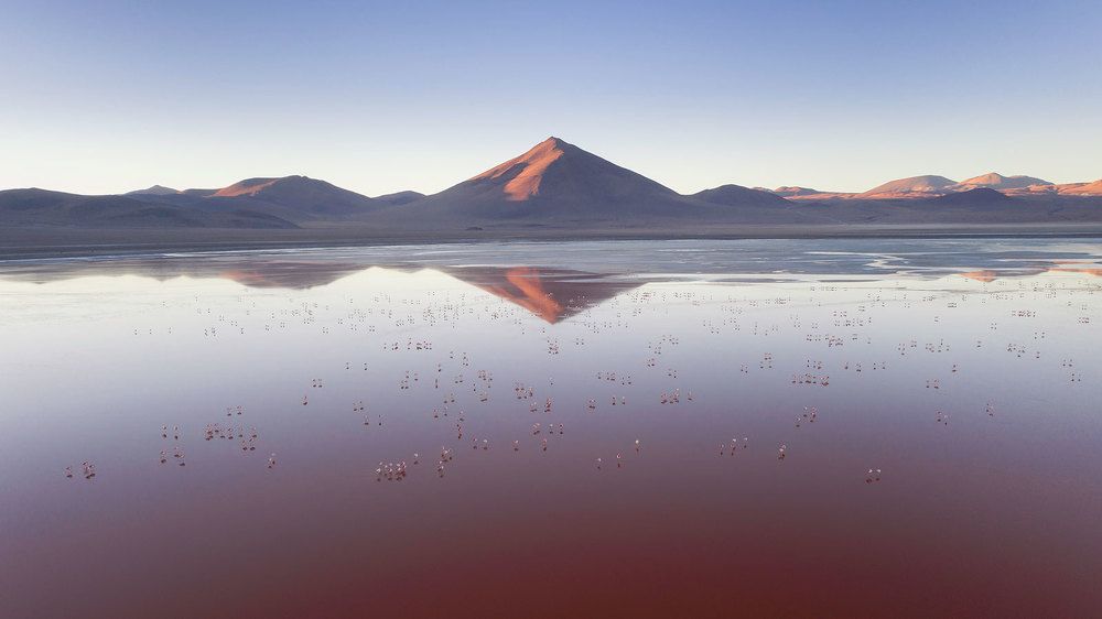 Laguna Colorada