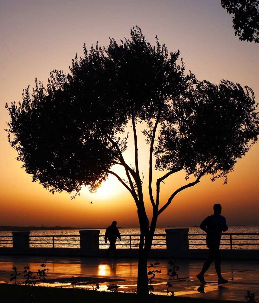 Morning Action - Дубль 2