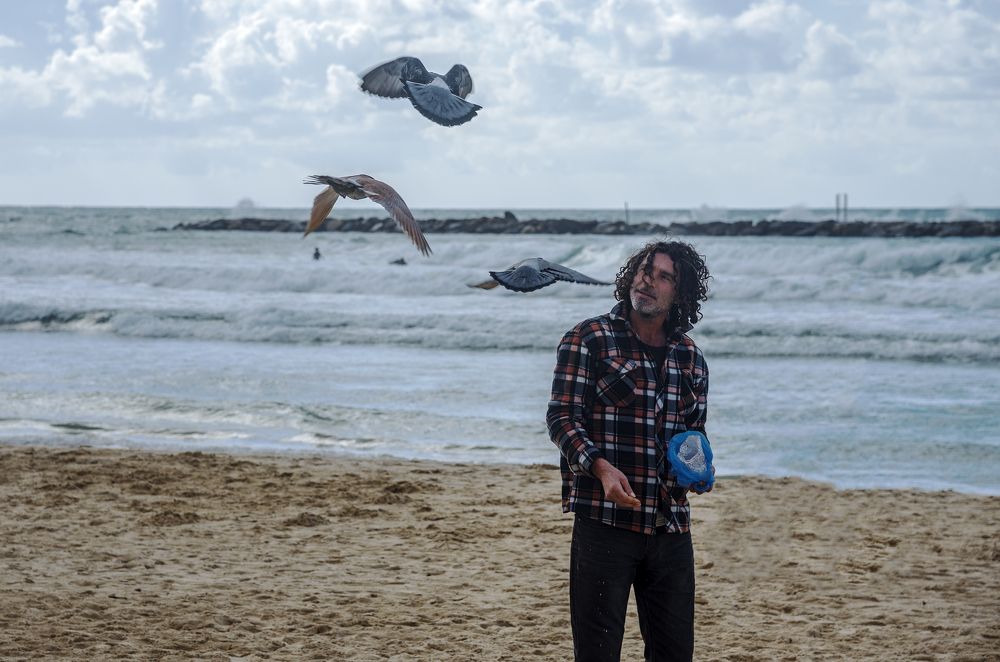 Человек и голуби.  Man and doves.