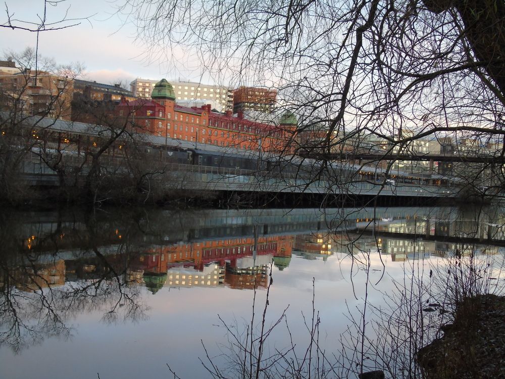 Photograph by SVITLANA