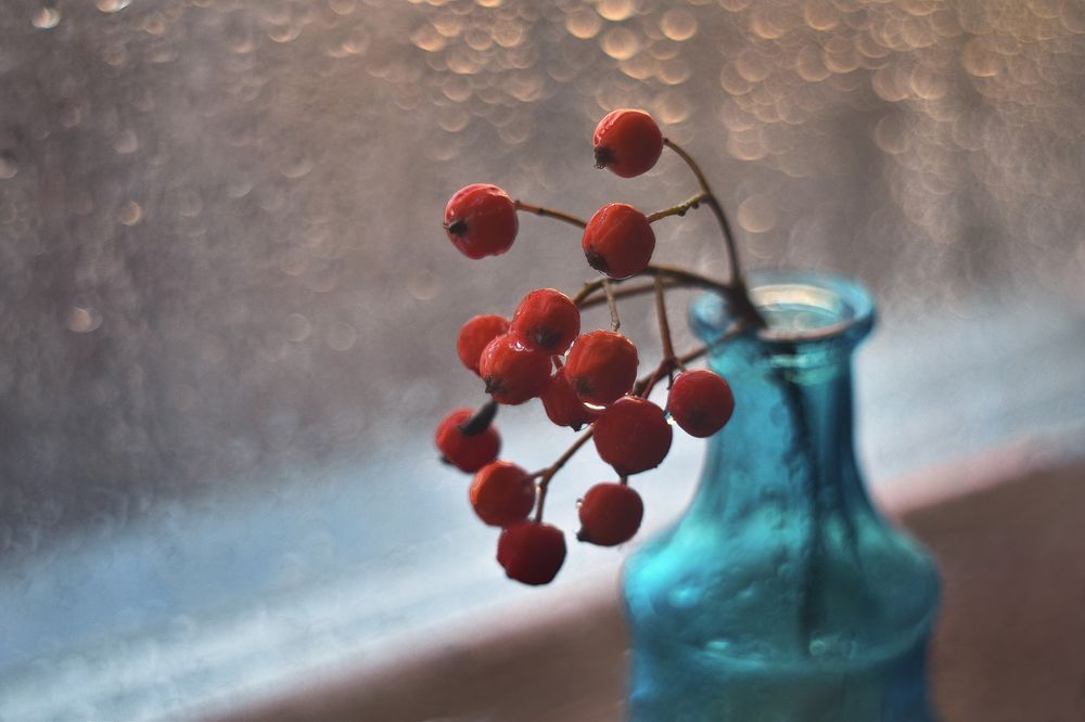 Осенняя зарисовка