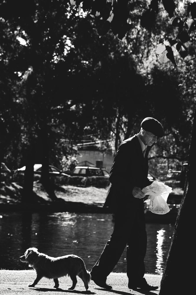 Just Briefly In This Life