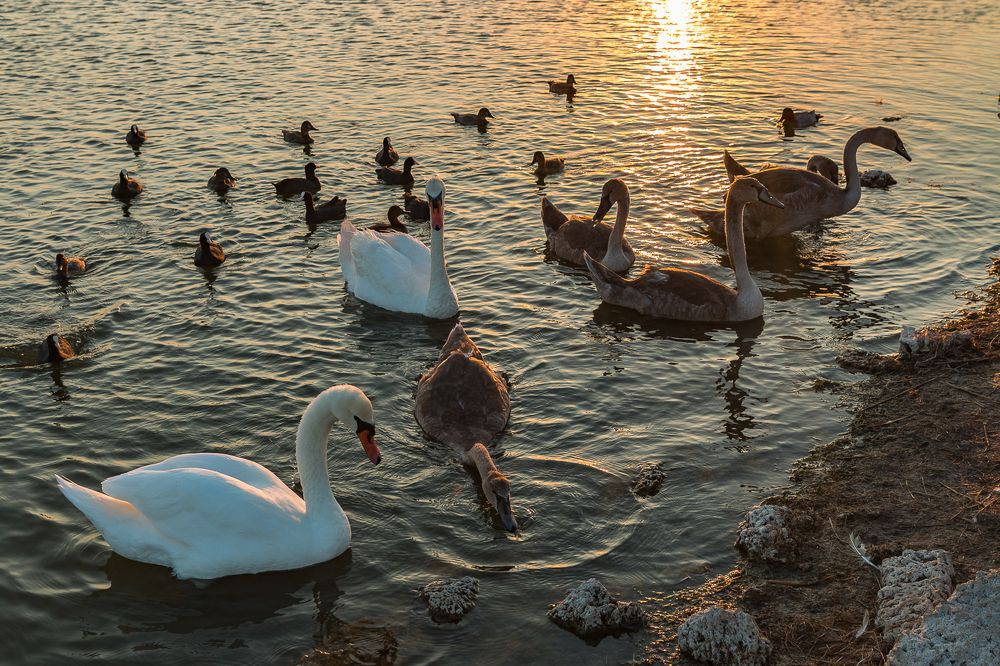 Photograph by Роман Дергунов