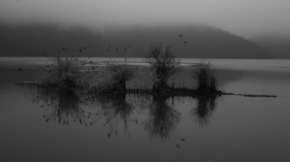 Неопределенность