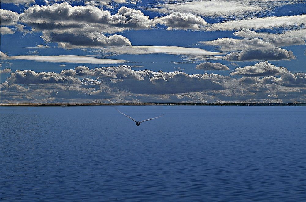 Posle podne na Dunavu