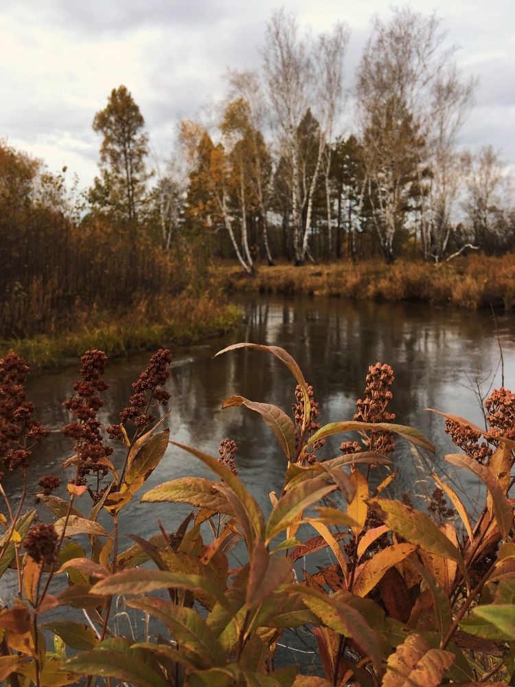Осенняя зарисовка.
