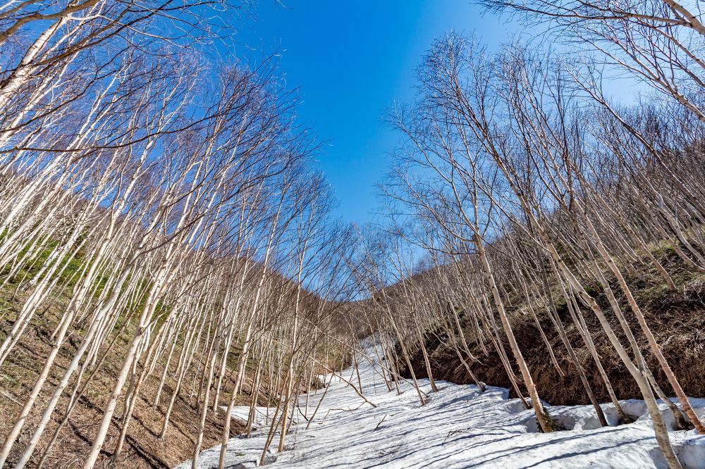 перспектива