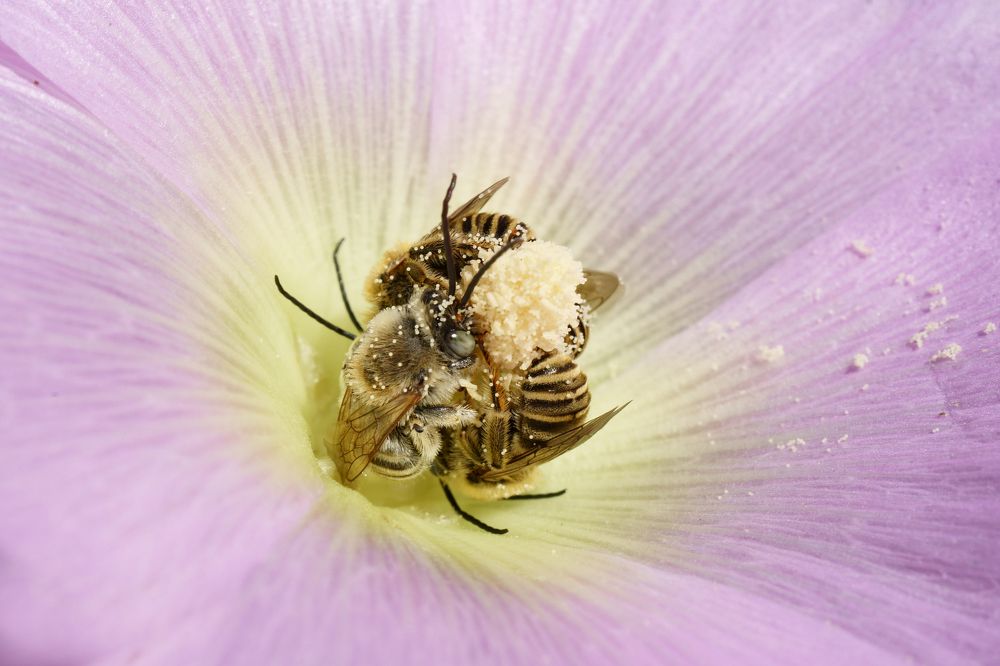 Утро начинается...