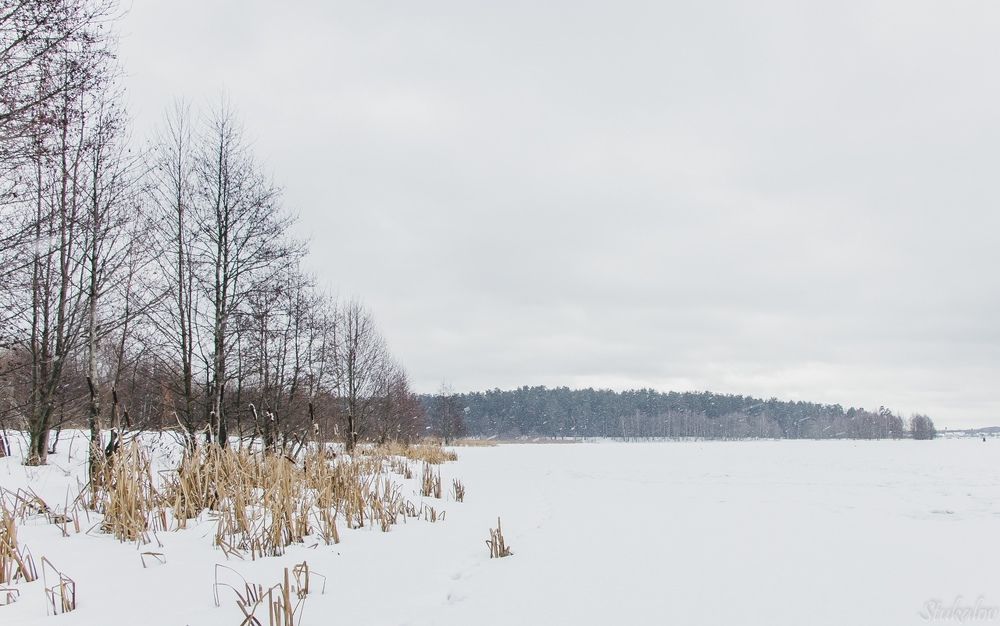Зимнее озеро